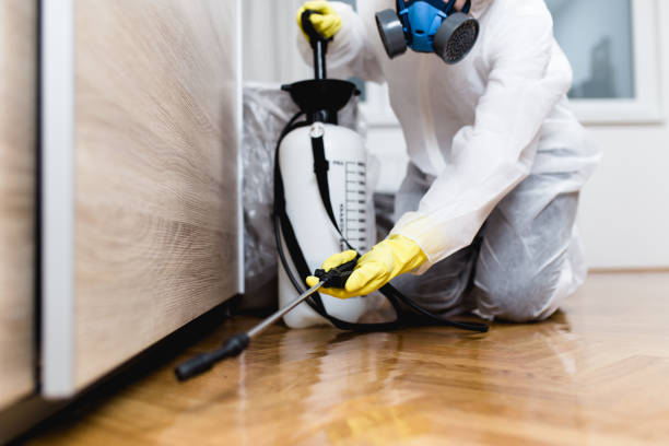 Best Mosquito Control Services  in Olathe, KS