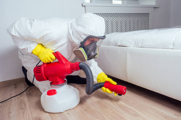 Pest Control Cost in Olathe, KS
