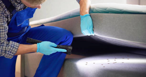 Best Pest Removal Services  in Olathe, KS