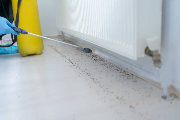 Best Pest Control Treatment  in Olathe, KS
